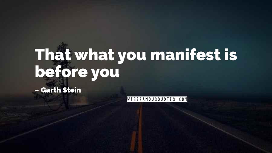 Garth Stein Quotes: That what you manifest is before you