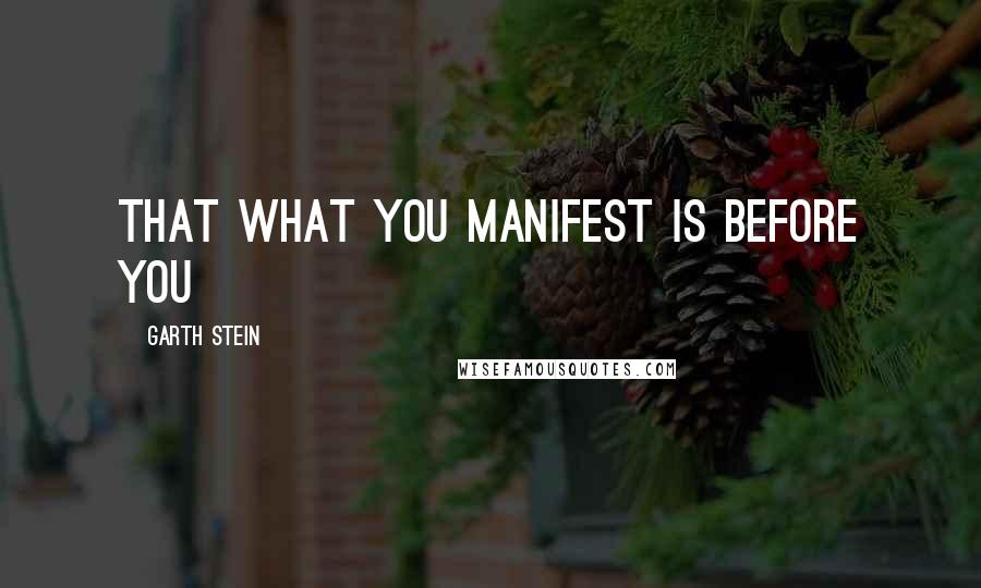 Garth Stein Quotes: That what you manifest is before you