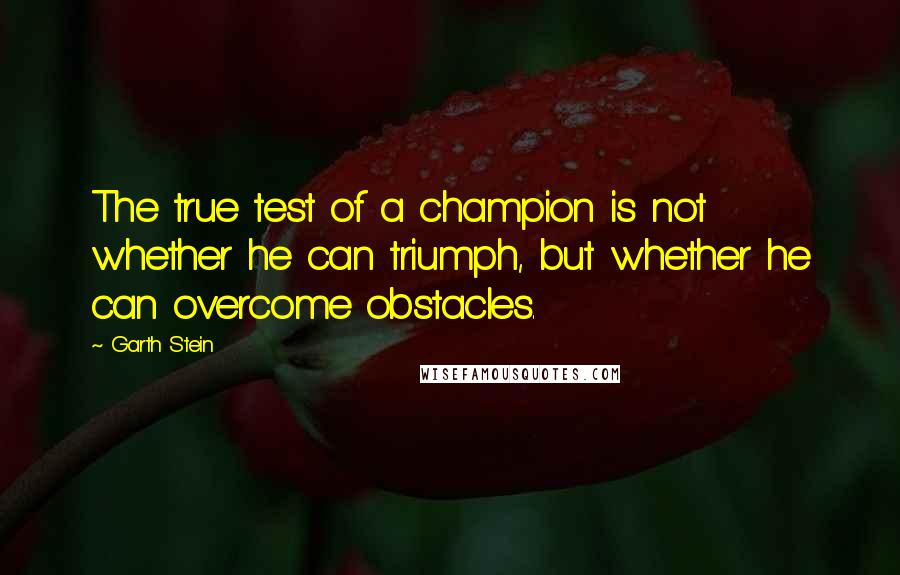 Garth Stein Quotes: The true test of a champion is not whether he can triumph, but whether he can overcome obstacles.