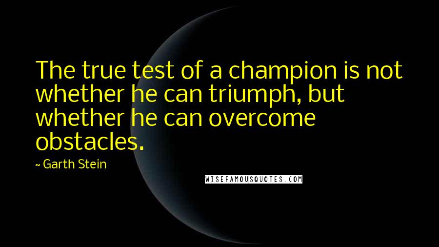 Garth Stein Quotes: The true test of a champion is not whether he can triumph, but whether he can overcome obstacles.