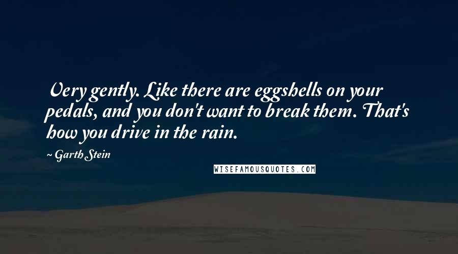 Garth Stein Quotes: Very gently. Like there are eggshells on your pedals, and you don't want to break them. That's how you drive in the rain.