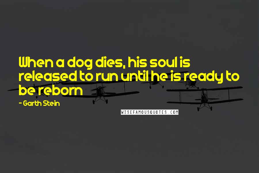 Garth Stein Quotes: When a dog dies, his soul is released to run until he is ready to be reborn