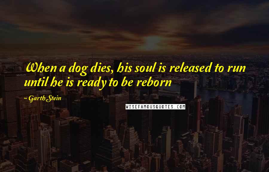 Garth Stein Quotes: When a dog dies, his soul is released to run until he is ready to be reborn