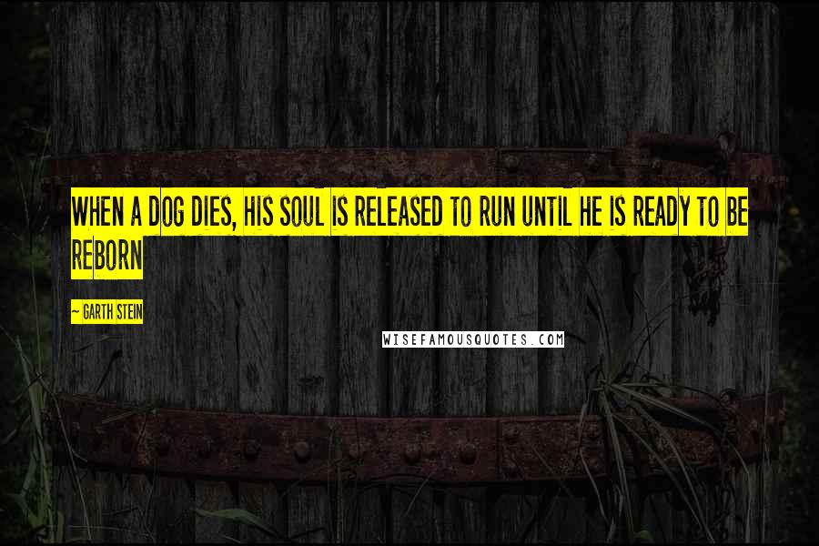 Garth Stein Quotes: When a dog dies, his soul is released to run until he is ready to be reborn