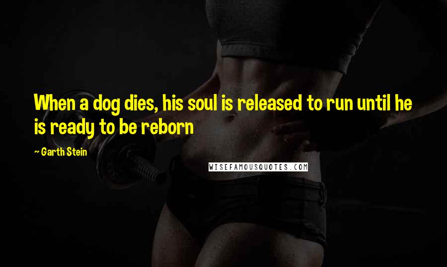 Garth Stein Quotes: When a dog dies, his soul is released to run until he is ready to be reborn