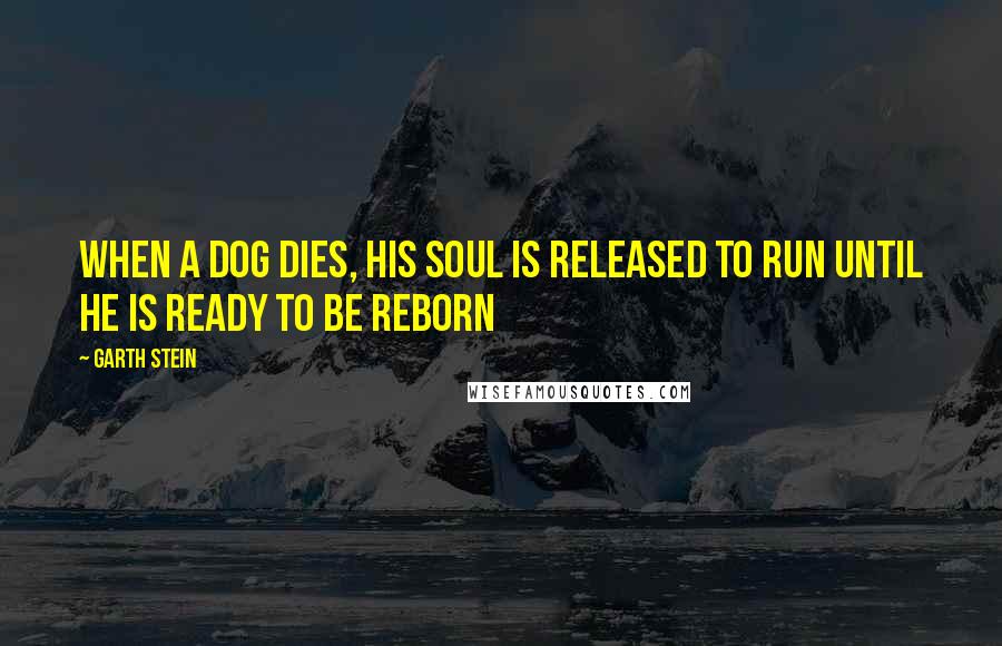 Garth Stein Quotes: When a dog dies, his soul is released to run until he is ready to be reborn