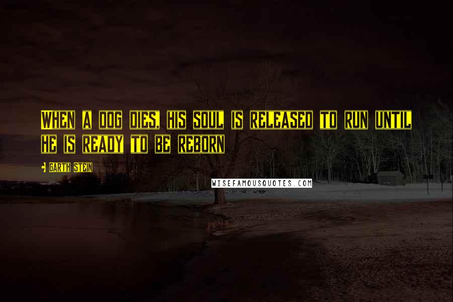 Garth Stein Quotes: When a dog dies, his soul is released to run until he is ready to be reborn