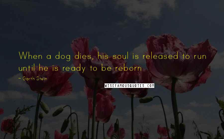 Garth Stein Quotes: When a dog dies, his soul is released to run until he is ready to be reborn