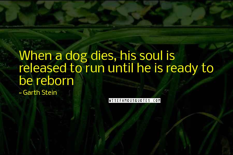 Garth Stein Quotes: When a dog dies, his soul is released to run until he is ready to be reborn