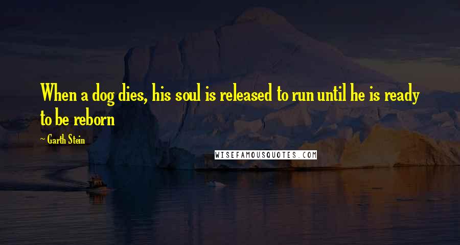 Garth Stein Quotes: When a dog dies, his soul is released to run until he is ready to be reborn