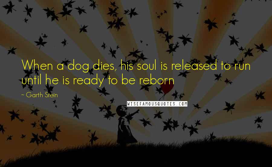 Garth Stein Quotes: When a dog dies, his soul is released to run until he is ready to be reborn