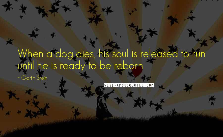 Garth Stein Quotes: When a dog dies, his soul is released to run until he is ready to be reborn