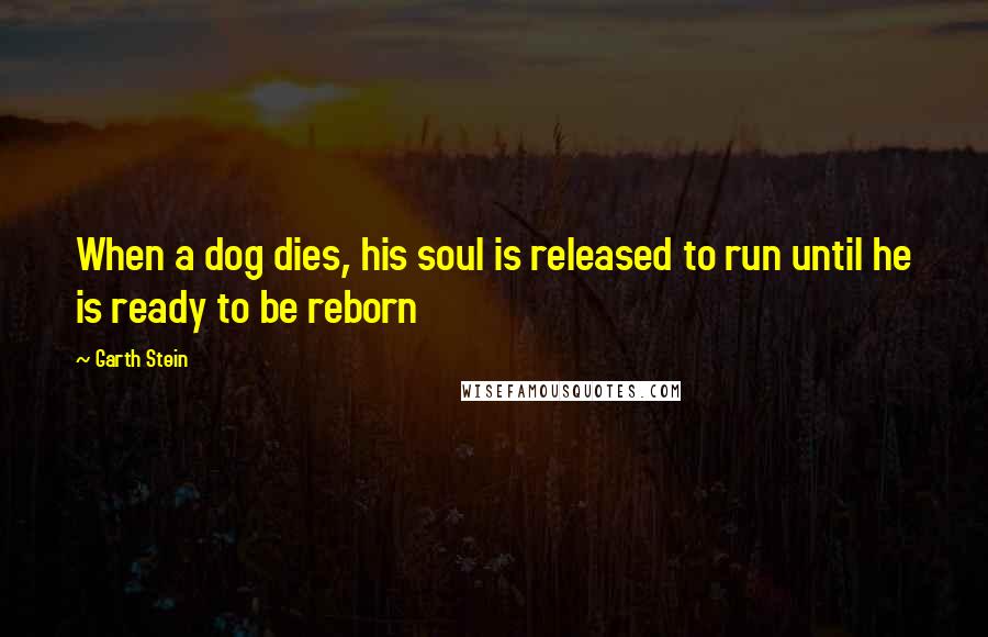 Garth Stein Quotes: When a dog dies, his soul is released to run until he is ready to be reborn