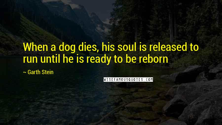 Garth Stein Quotes: When a dog dies, his soul is released to run until he is ready to be reborn
