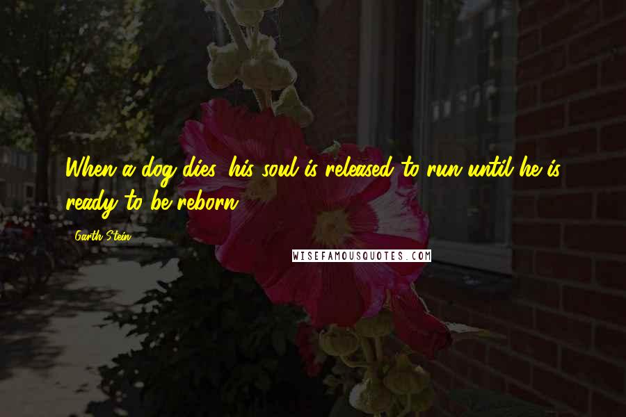 Garth Stein Quotes: When a dog dies, his soul is released to run until he is ready to be reborn