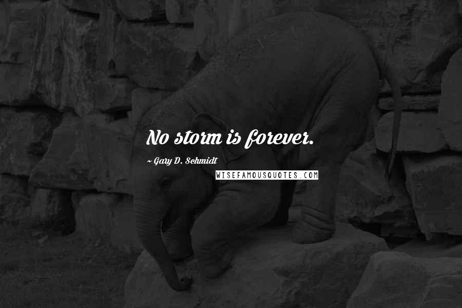 Gary D. Schmidt Quotes: No storm is forever.