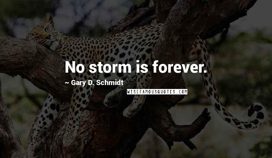 Gary D. Schmidt Quotes: No storm is forever.