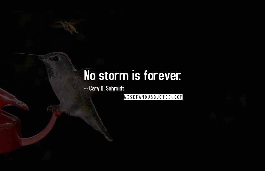 Gary D. Schmidt Quotes: No storm is forever.