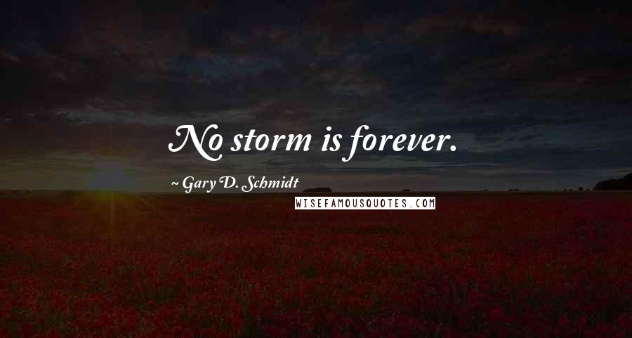 Gary D. Schmidt Quotes: No storm is forever.