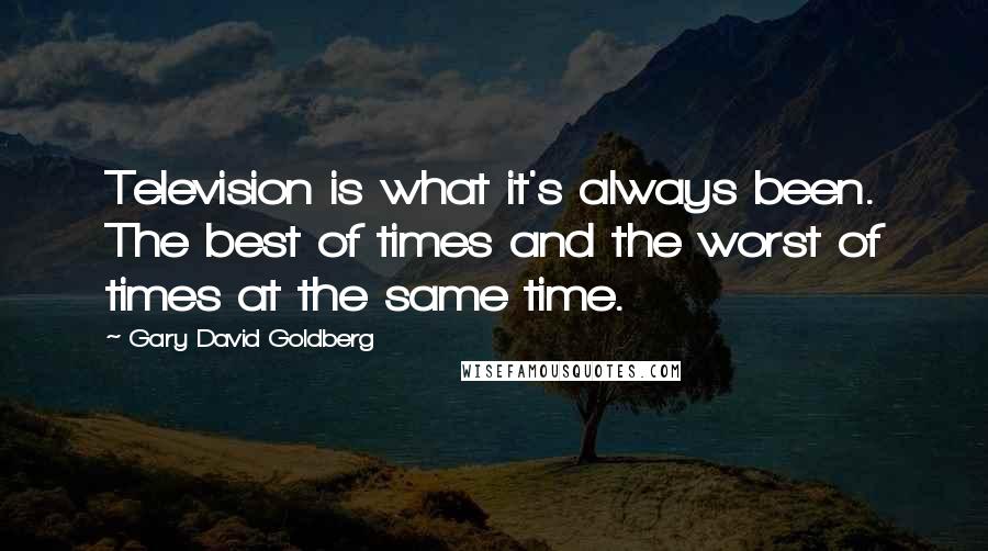 Gary David Goldberg Quotes: Television is what it's always been. The best of times and the worst of times at the same time.
