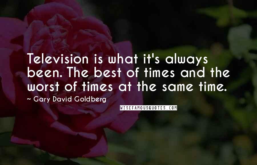 Gary David Goldberg Quotes: Television is what it's always been. The best of times and the worst of times at the same time.