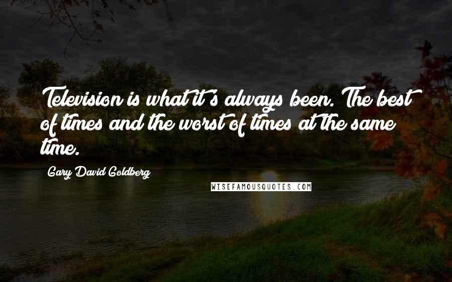 Gary David Goldberg Quotes: Television is what it's always been. The best of times and the worst of times at the same time.