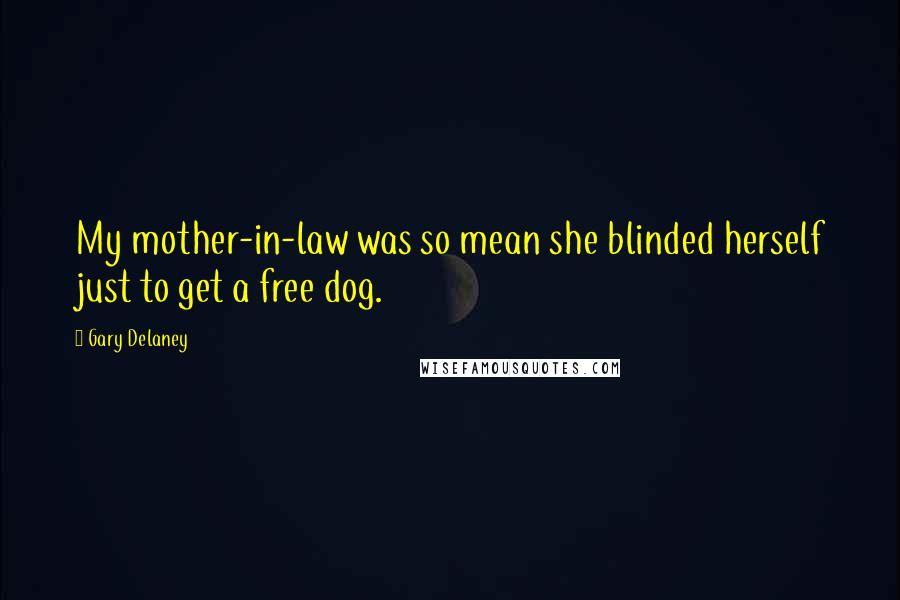 Gary Delaney Quotes: My mother-in-law was so mean she blinded herself just to get a free dog.