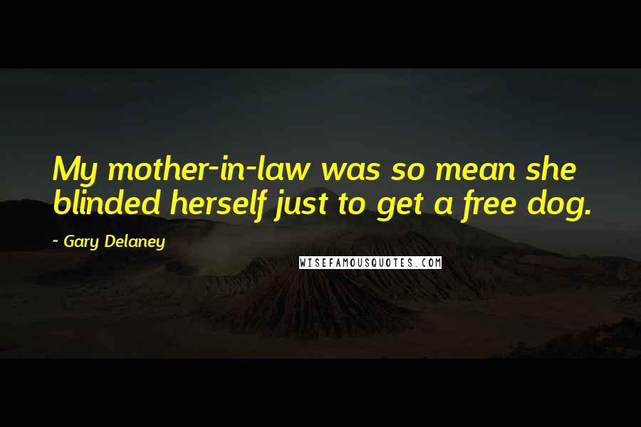 Gary Delaney Quotes: My mother-in-law was so mean she blinded herself just to get a free dog.