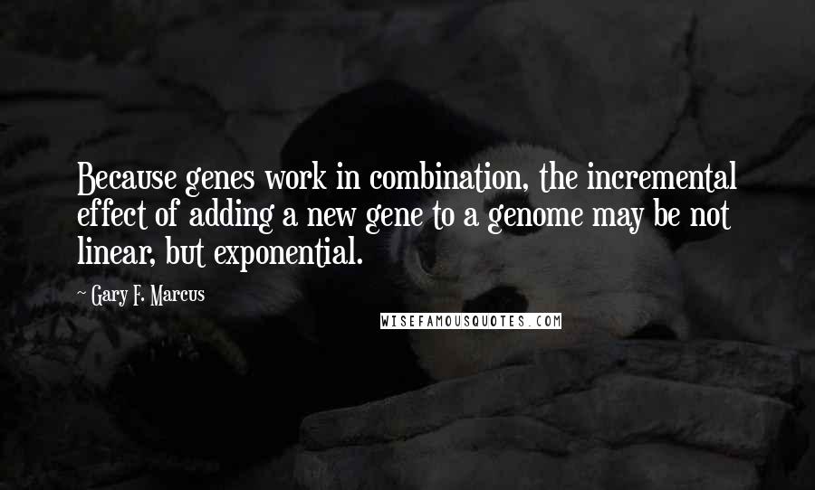 Gary F. Marcus Quotes: Because genes work in combination, the incremental effect of adding a new gene to a genome may be not linear, but exponential.