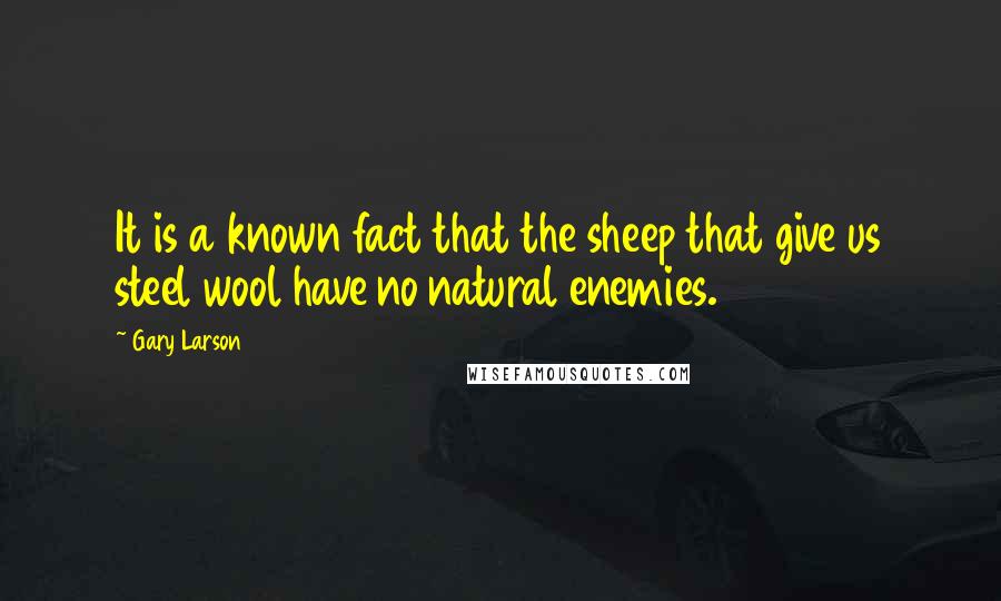 Gary Larson Quotes: It is a known fact that the sheep that give us steel wool have no natural enemies.