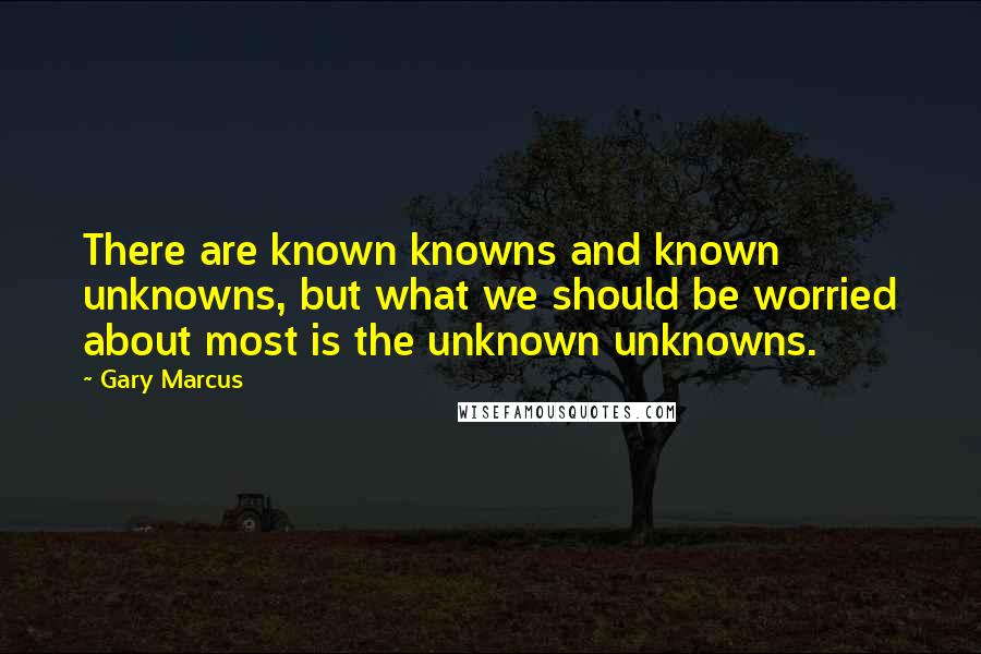 Gary Marcus Quotes: There are known knowns and known unknowns, but what we should be worried about most is the unknown unknowns.