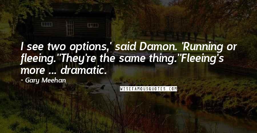 Gary Meehan Quotes: I see two options,' said Damon. 'Running or fleeing.''They're the same thing.''Fleeing's more ... dramatic.