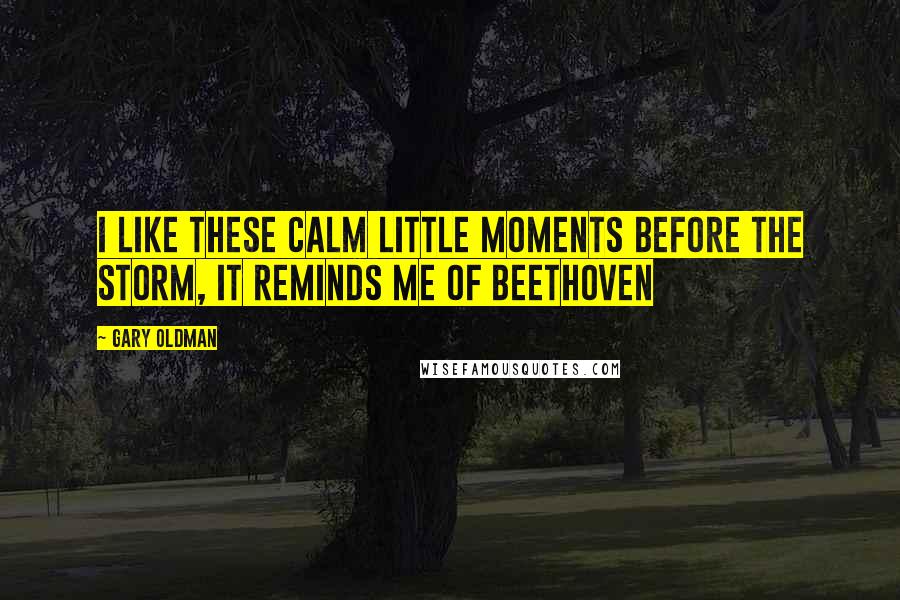 Gary Oldman Quotes: I like these calm little moments before the storm, it reminds me of Beethoven