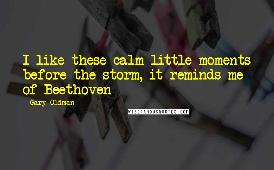 Gary Oldman Quotes: I like these calm little moments before the storm, it reminds me of Beethoven