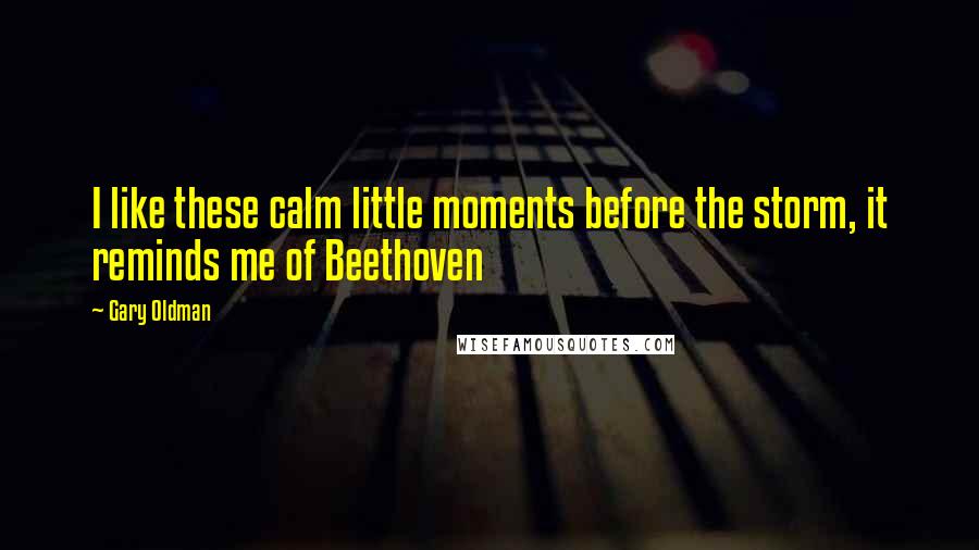 Gary Oldman Quotes: I like these calm little moments before the storm, it reminds me of Beethoven