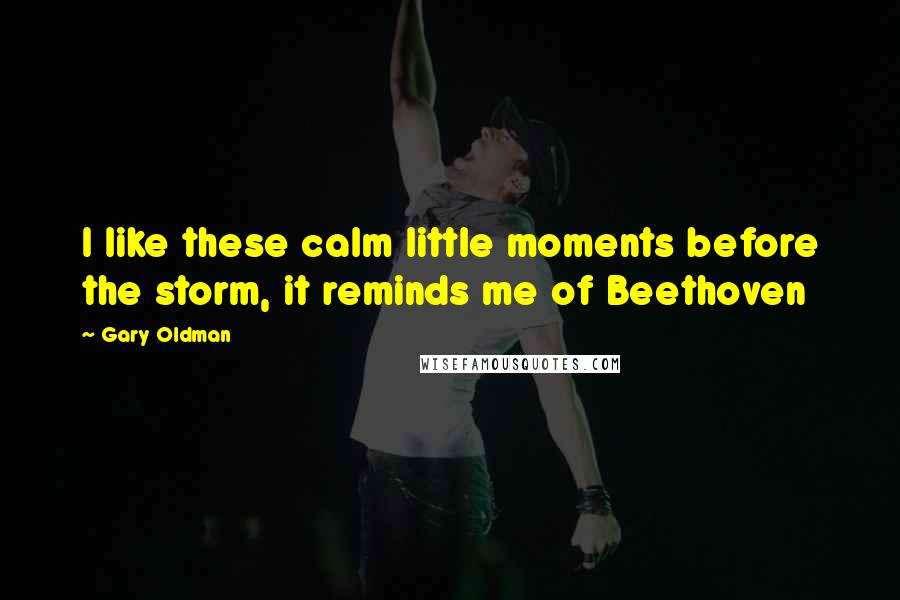 Gary Oldman Quotes: I like these calm little moments before the storm, it reminds me of Beethoven