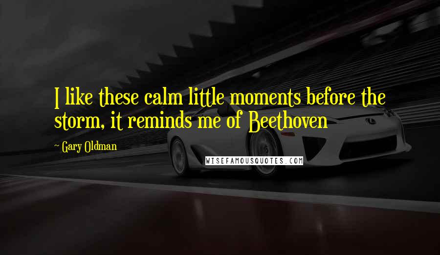 Gary Oldman Quotes: I like these calm little moments before the storm, it reminds me of Beethoven