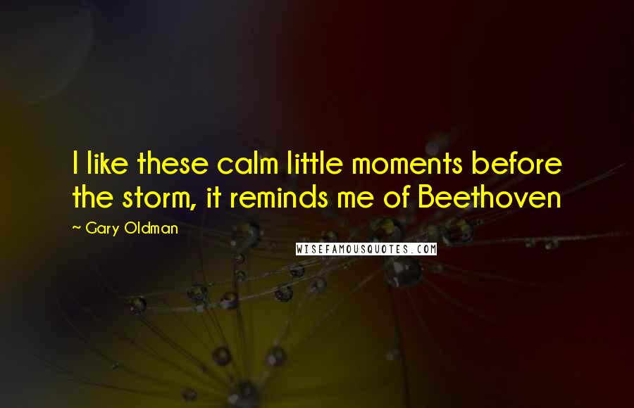 Gary Oldman Quotes: I like these calm little moments before the storm, it reminds me of Beethoven