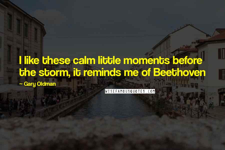 Gary Oldman Quotes: I like these calm little moments before the storm, it reminds me of Beethoven