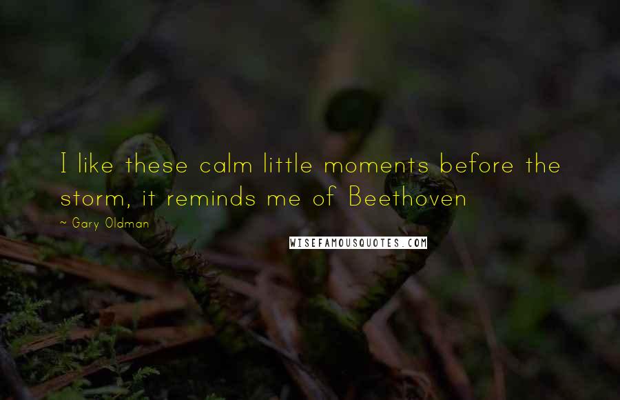 Gary Oldman Quotes: I like these calm little moments before the storm, it reminds me of Beethoven