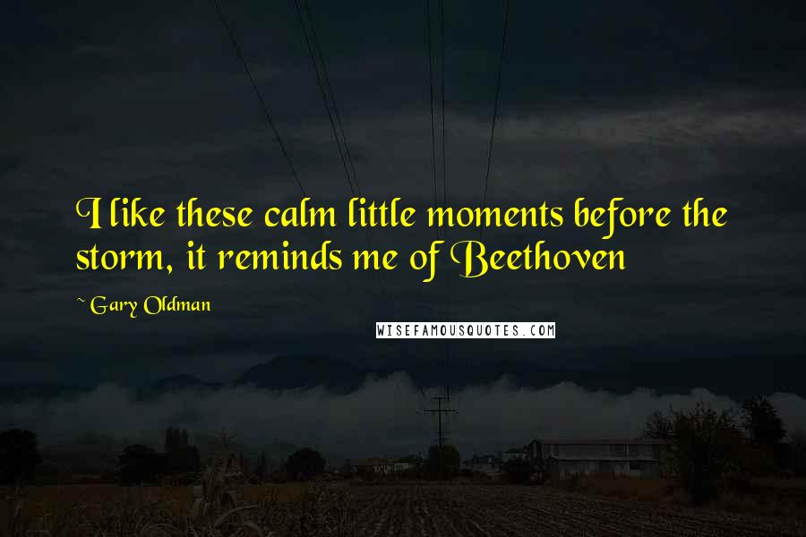 Gary Oldman Quotes: I like these calm little moments before the storm, it reminds me of Beethoven