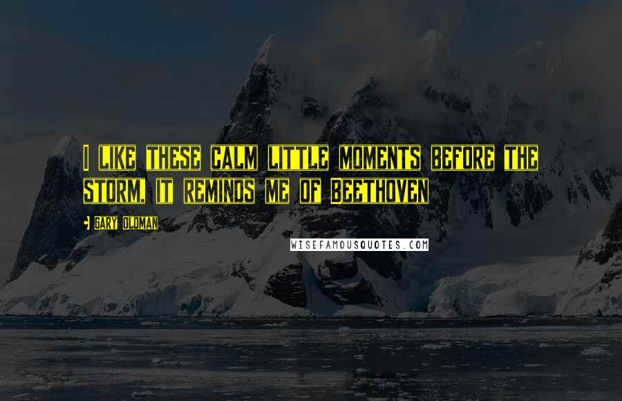 Gary Oldman Quotes: I like these calm little moments before the storm, it reminds me of Beethoven