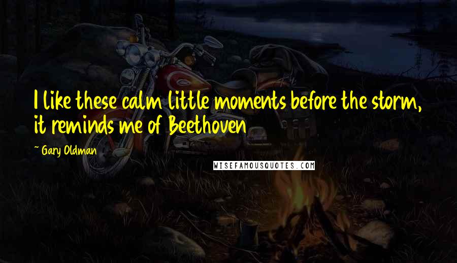 Gary Oldman Quotes: I like these calm little moments before the storm, it reminds me of Beethoven