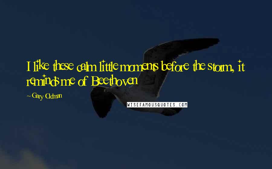 Gary Oldman Quotes: I like these calm little moments before the storm, it reminds me of Beethoven