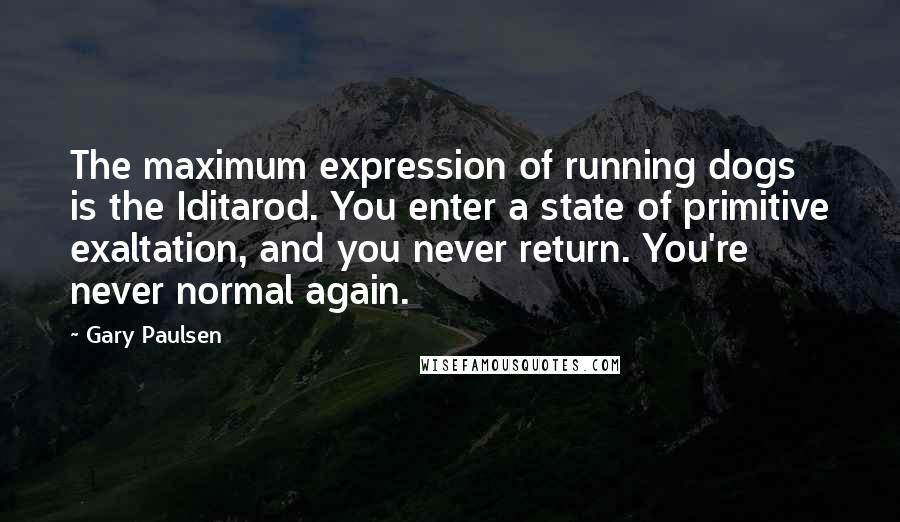 Gary Paulsen Quotes: The maximum expression of running dogs is the Iditarod. You enter a state of primitive exaltation, and you never return. You're never normal again.