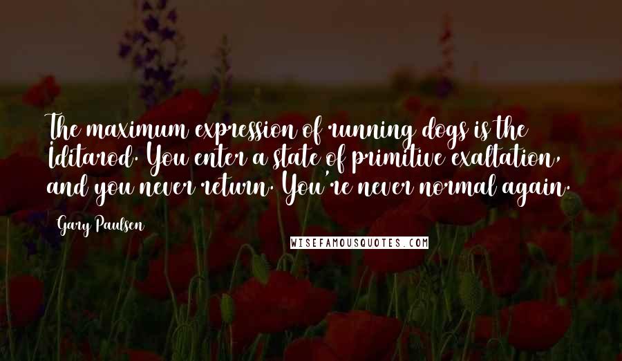 Gary Paulsen Quotes: The maximum expression of running dogs is the Iditarod. You enter a state of primitive exaltation, and you never return. You're never normal again.