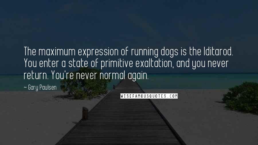 Gary Paulsen Quotes: The maximum expression of running dogs is the Iditarod. You enter a state of primitive exaltation, and you never return. You're never normal again.