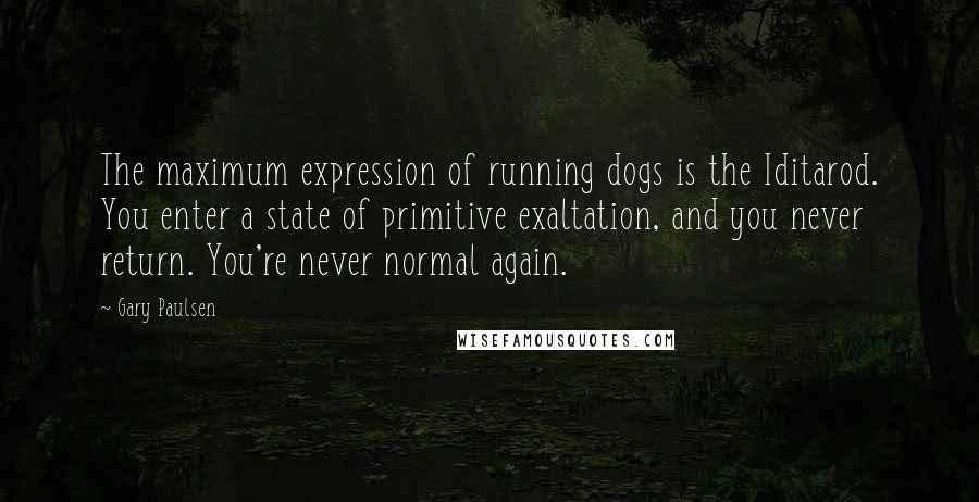 Gary Paulsen Quotes: The maximum expression of running dogs is the Iditarod. You enter a state of primitive exaltation, and you never return. You're never normal again.