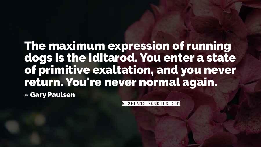 Gary Paulsen Quotes: The maximum expression of running dogs is the Iditarod. You enter a state of primitive exaltation, and you never return. You're never normal again.