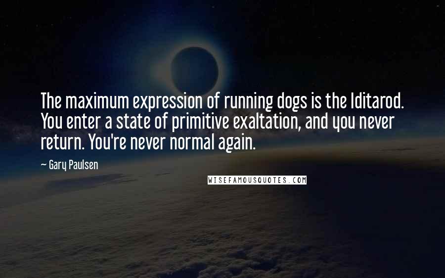 Gary Paulsen Quotes: The maximum expression of running dogs is the Iditarod. You enter a state of primitive exaltation, and you never return. You're never normal again.